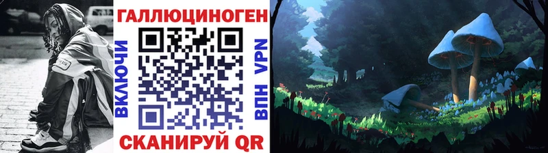 закладка  Новосибирск  Псилоцибиновые грибы GOLDEN TEACHER 