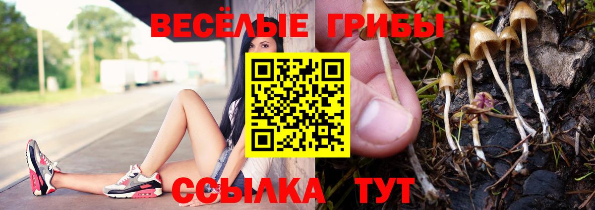 Новосибирск  Псилоцибиновые грибы прущие грибы  Вход с VPN 