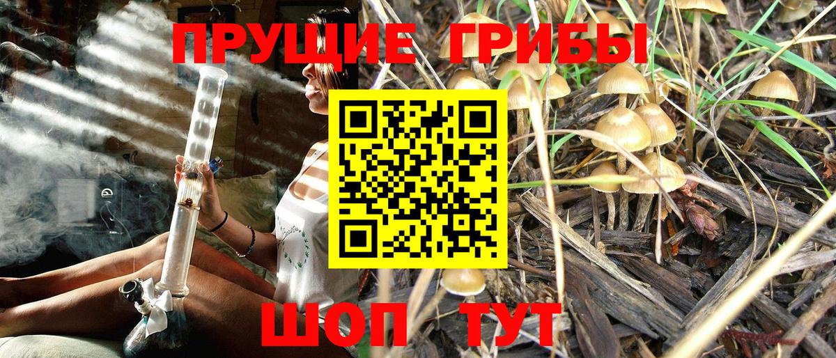 Галлюциногенные грибы Magic Shrooms Новосибирск